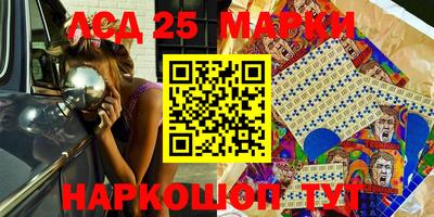 spice Кингисепп