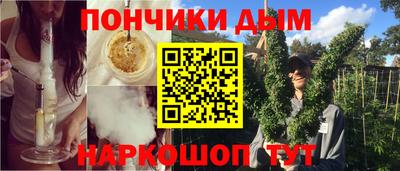 spice Кингисепп